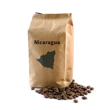 Nicaragua Dipilto